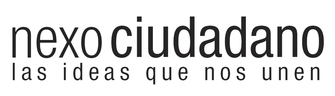 LOGO LETRAS NEXO CIUDADANO